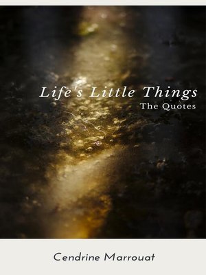 cover image of Life's Little Things